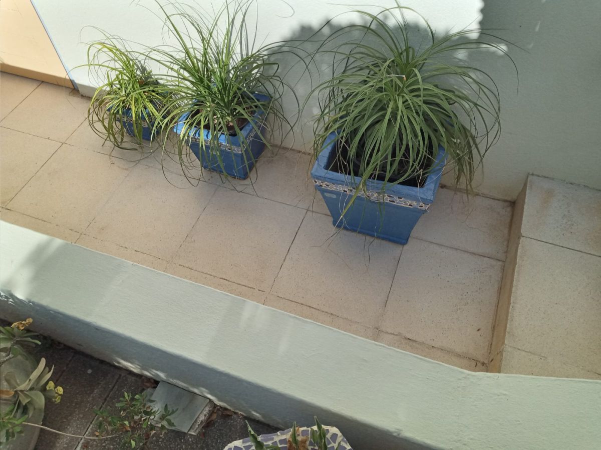 Apartment in Cas Grandi