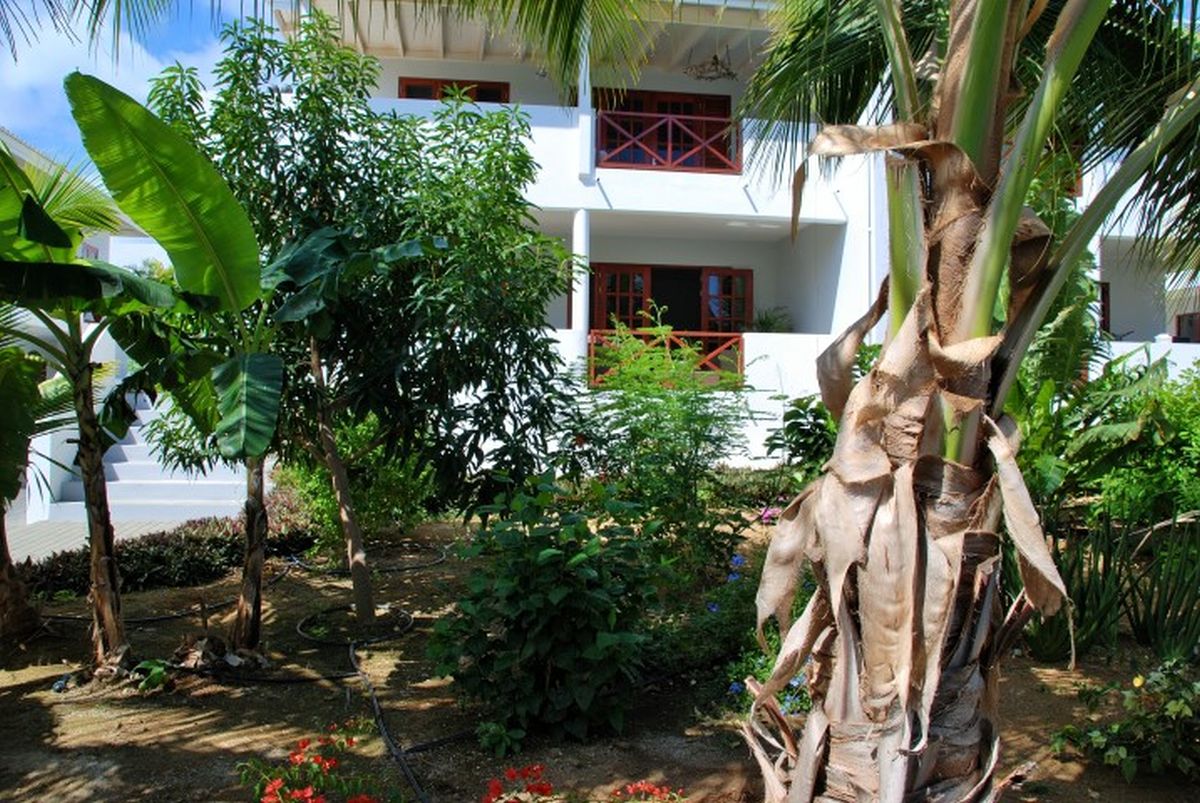 Apartment in Brakkeput