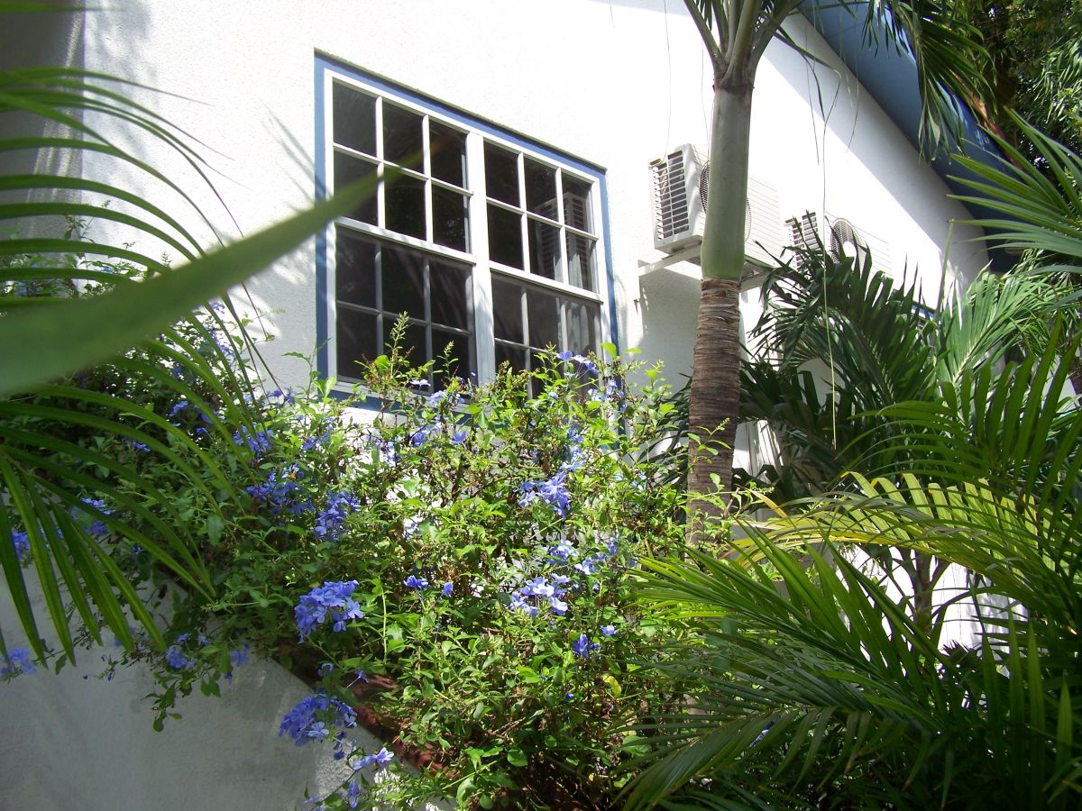 House in Lagunisol