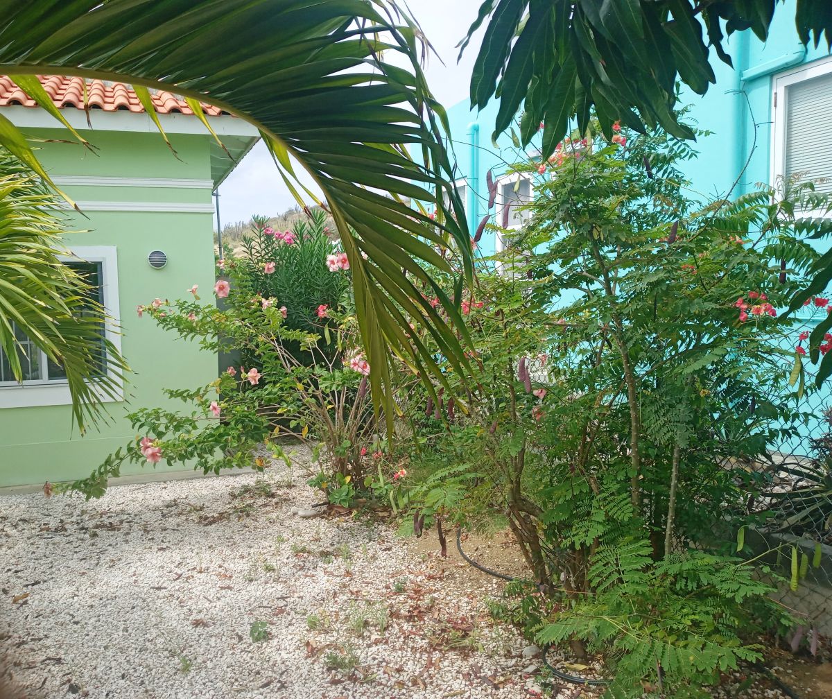 House in Montaña