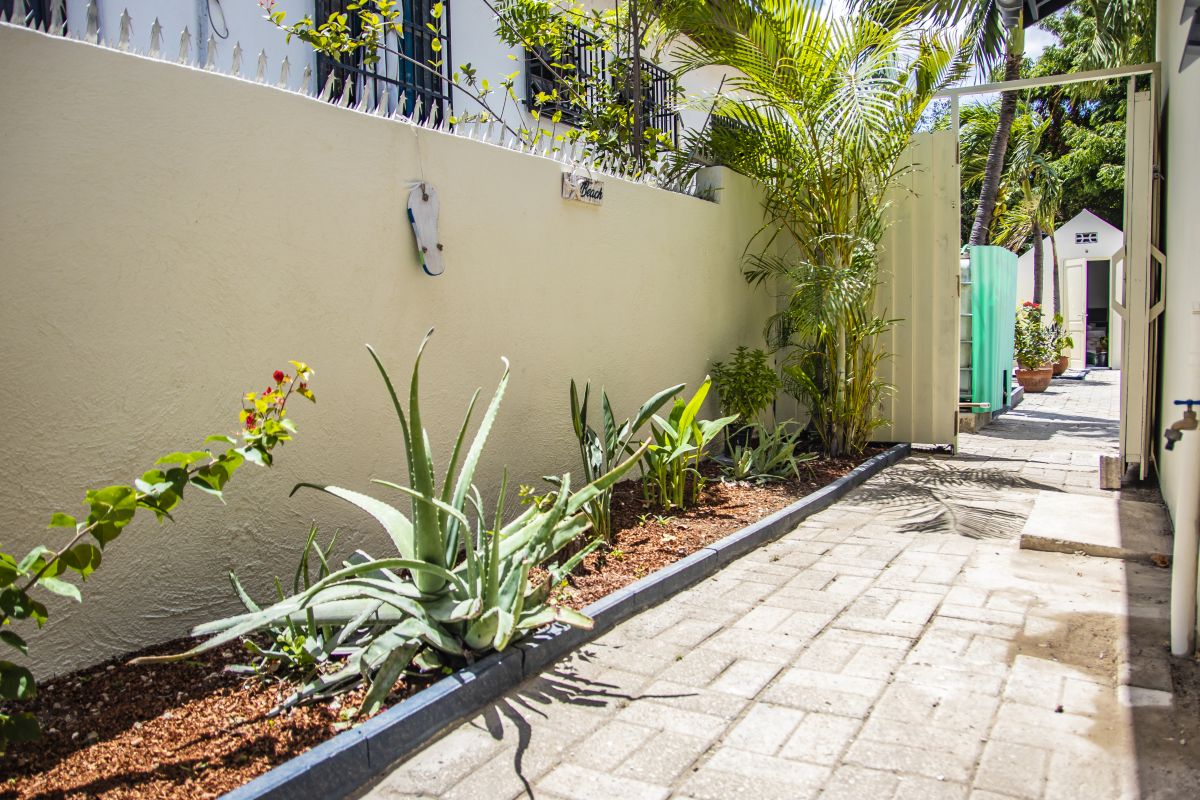 House in Curasol