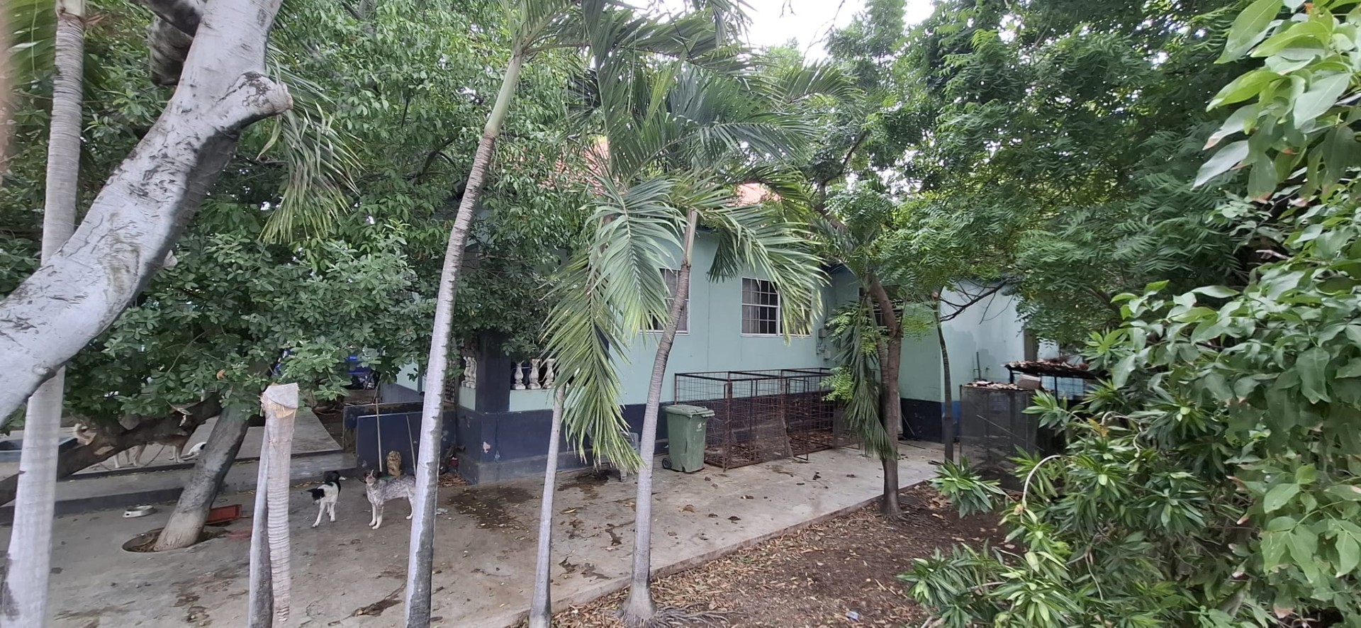 Commercial in Zeelandia