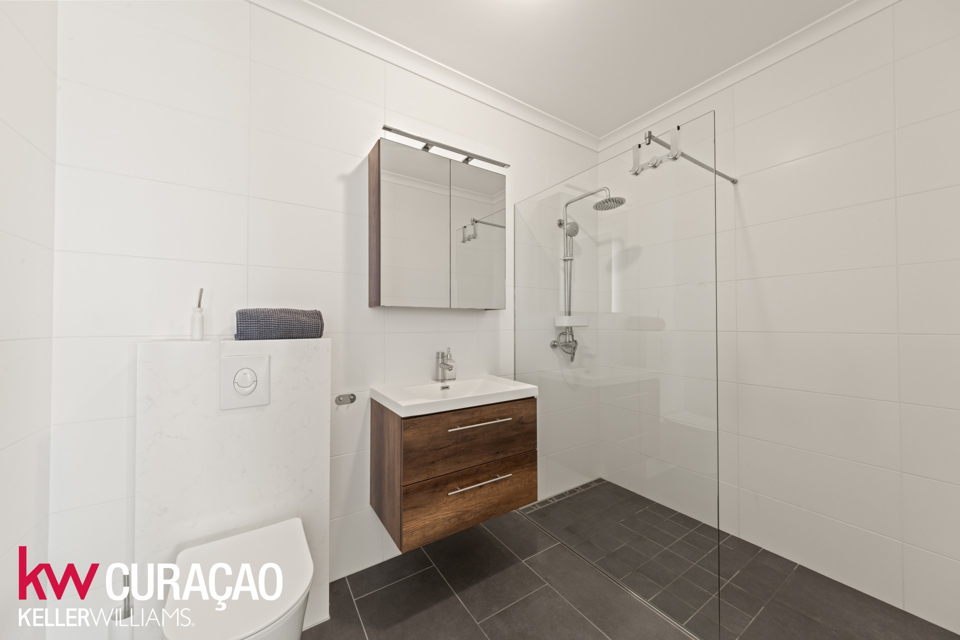 Property in Piscadera
