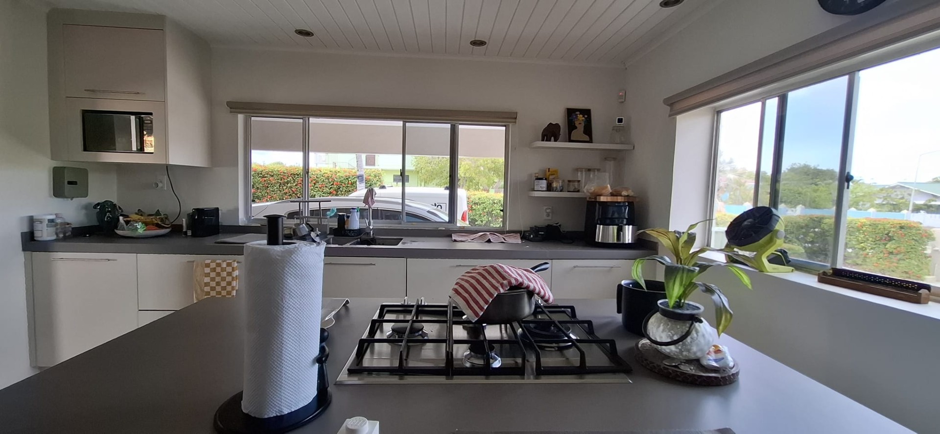 Property in Schelpwijk