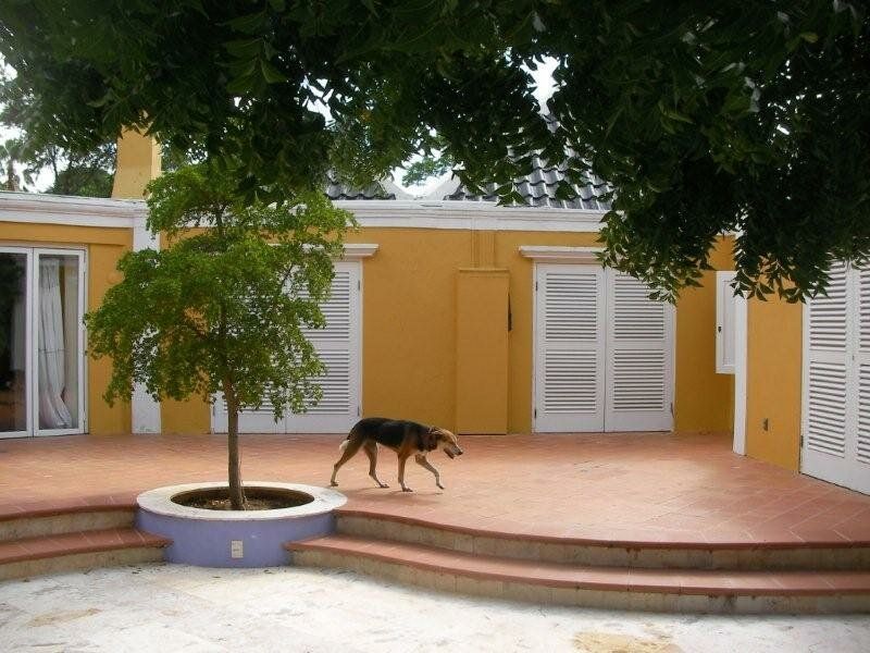 House in Francia