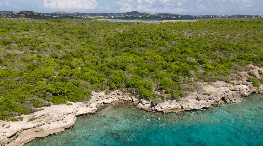 Land / plot in Mambo Beach