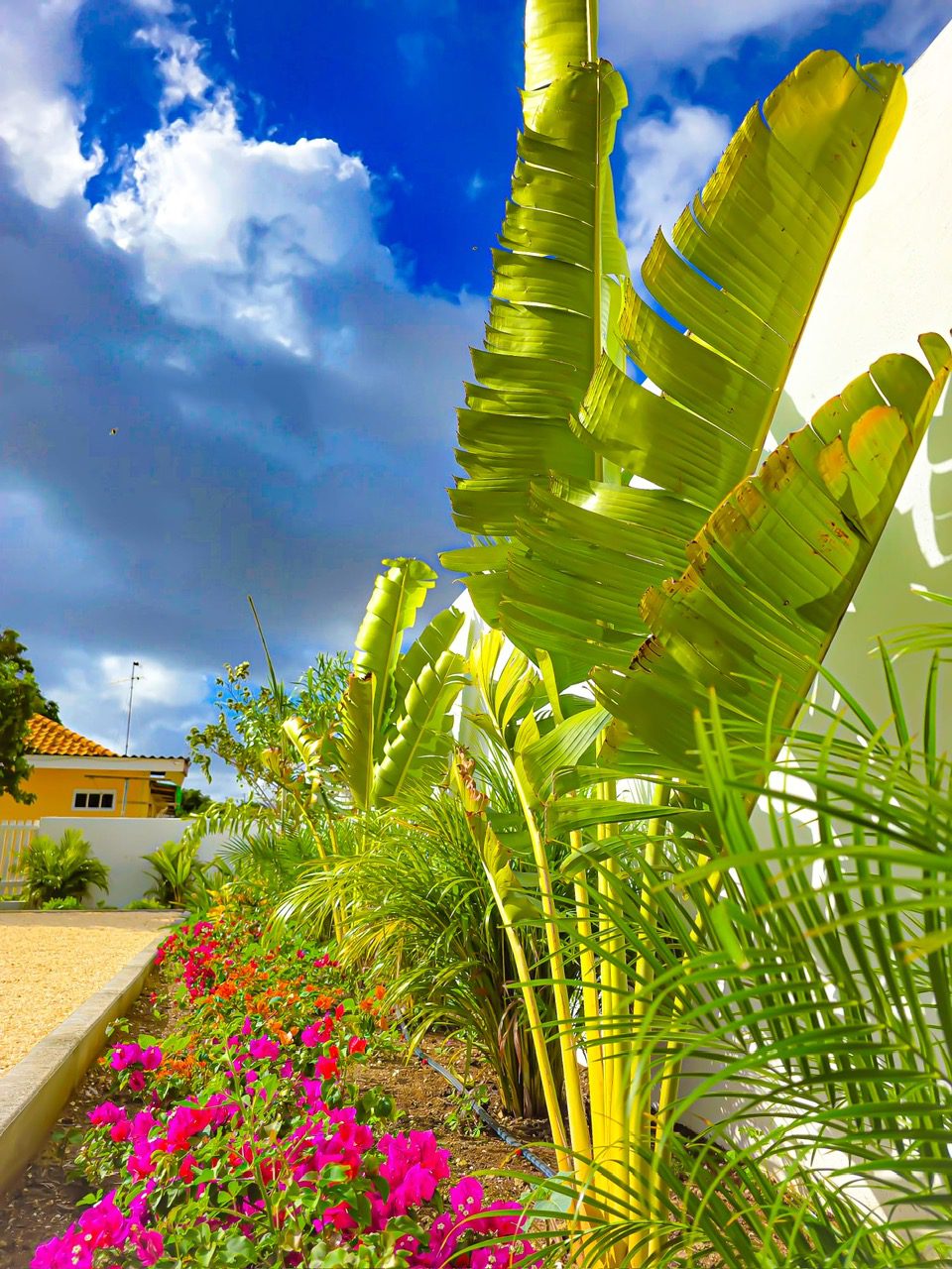 House in Curaçao