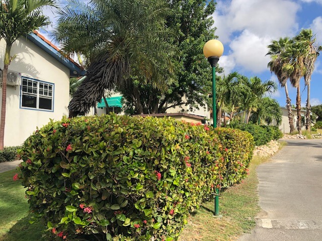 House in Lagunisol