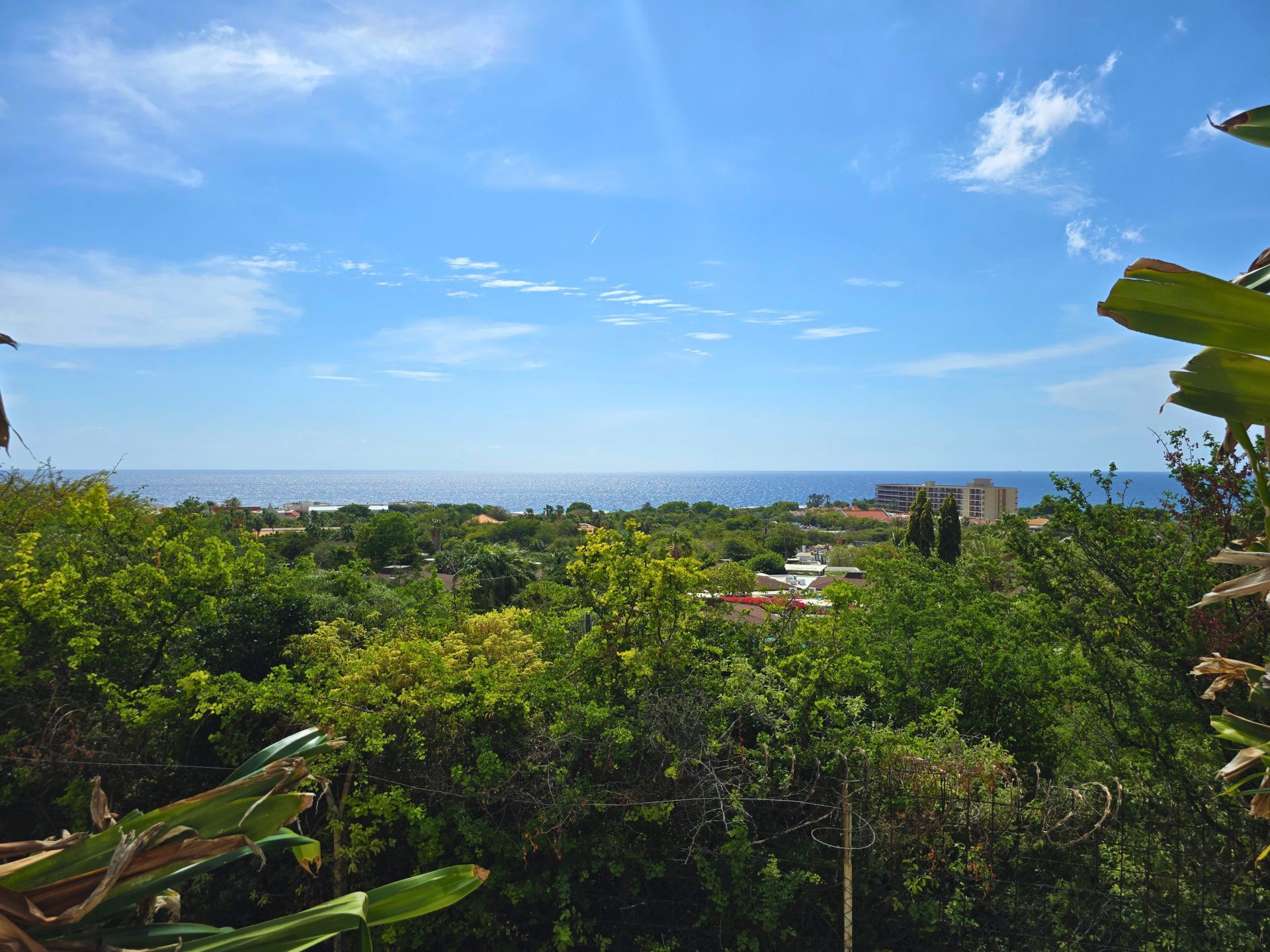 Property in Parasasa