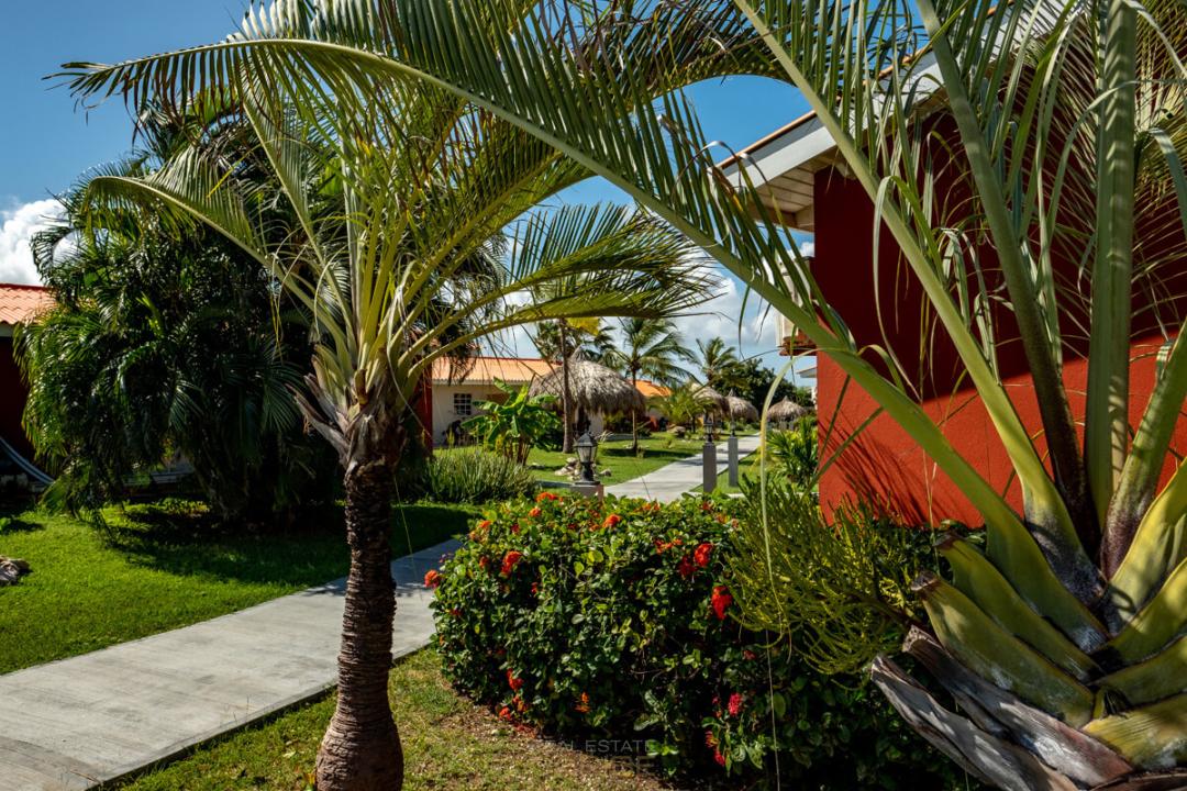 House in Santa Catharina