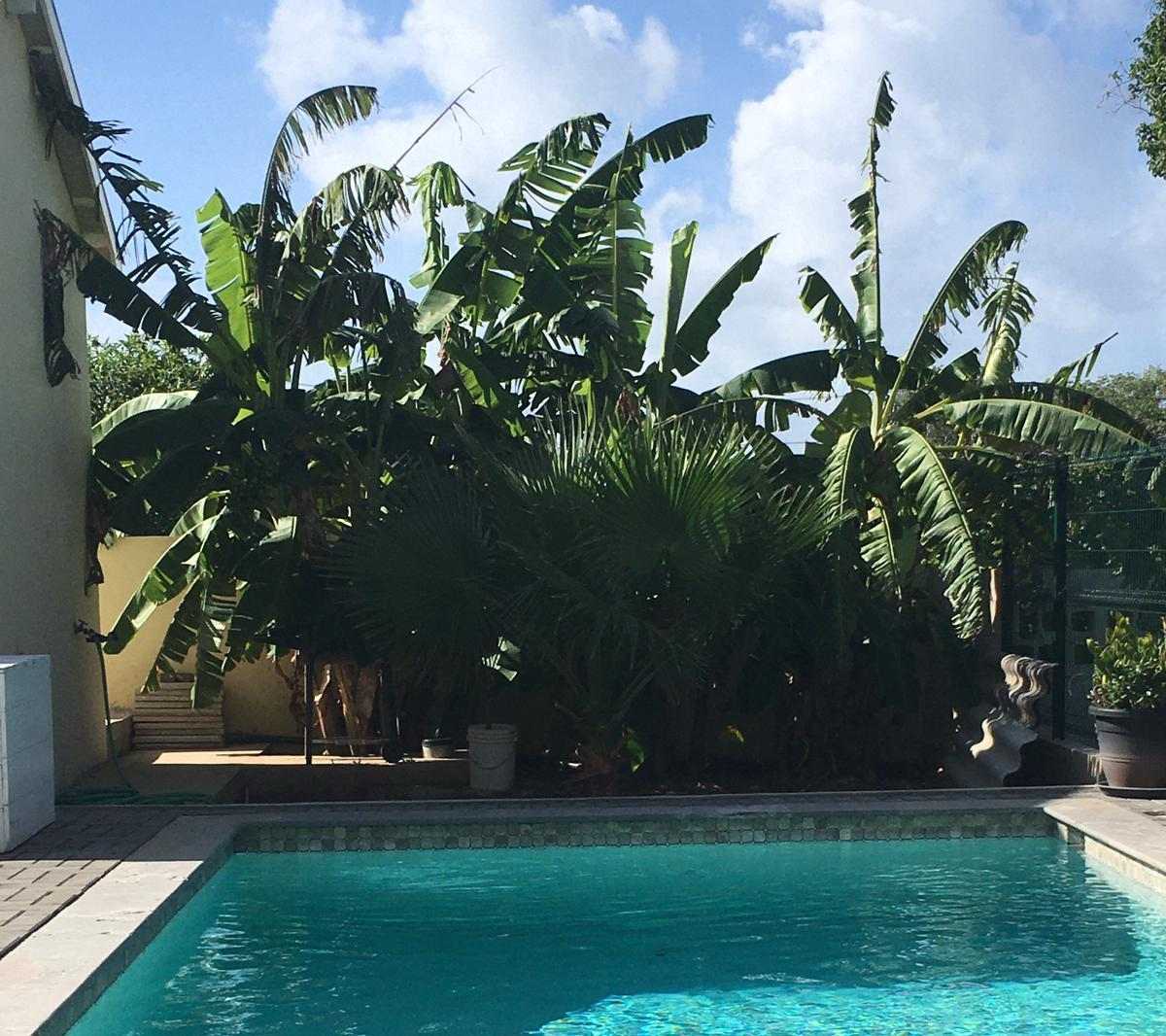 Apartment in Dominguito