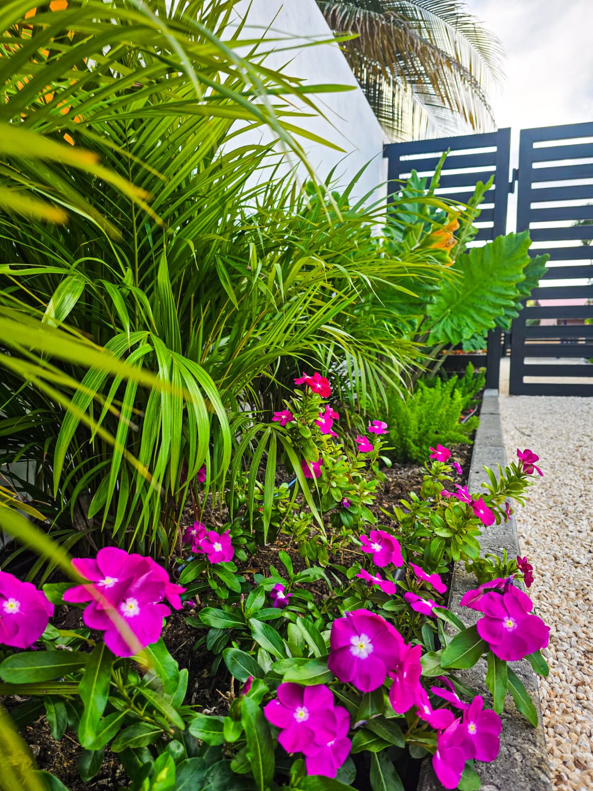 House in Curaçao