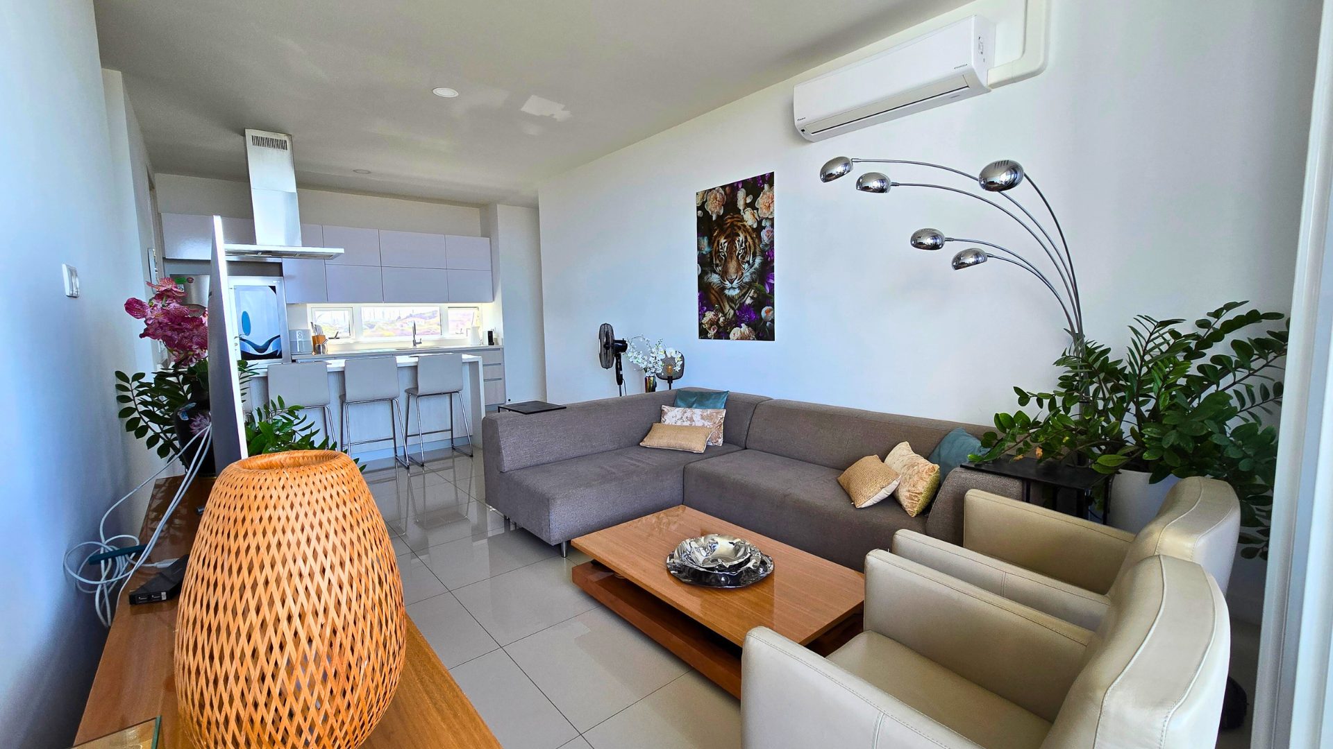 Property in Parasasa