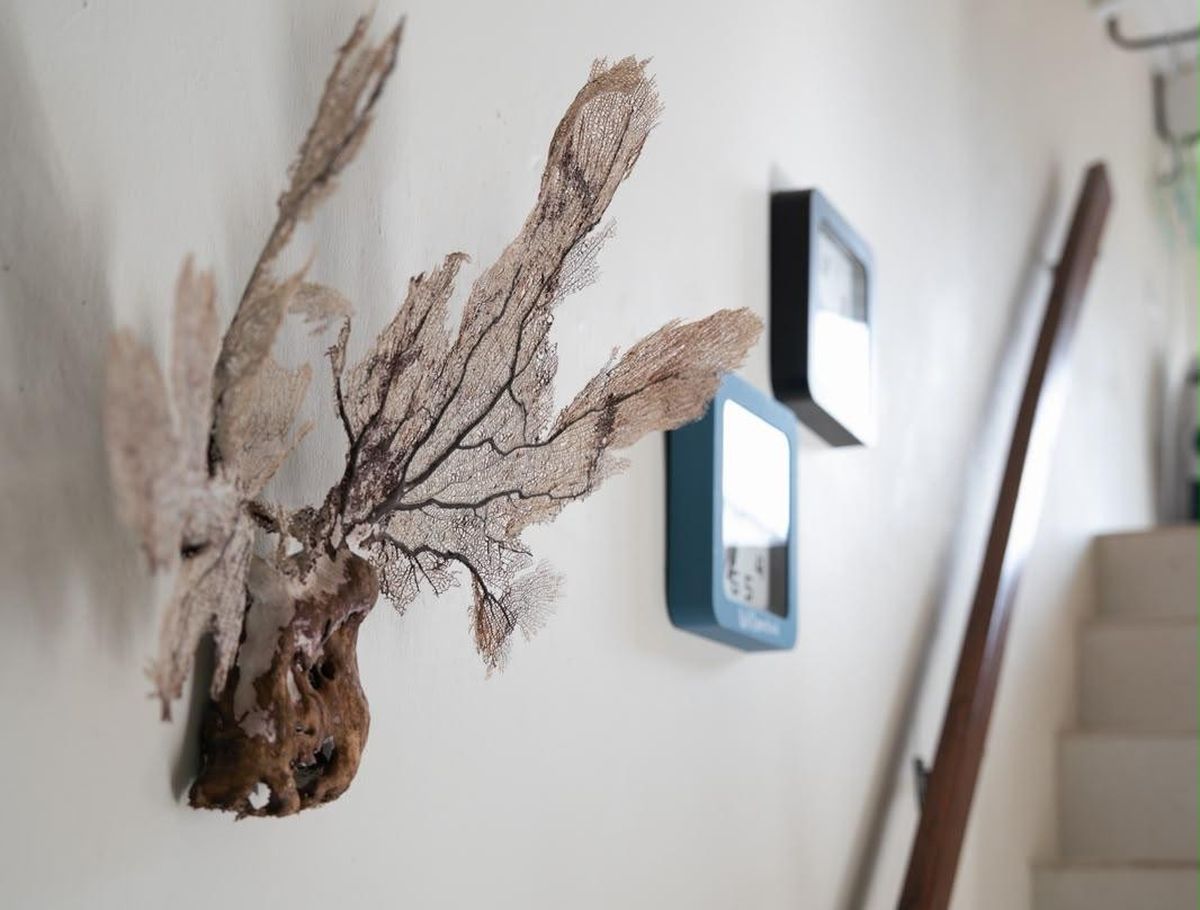 Apartment in Cas Grandi