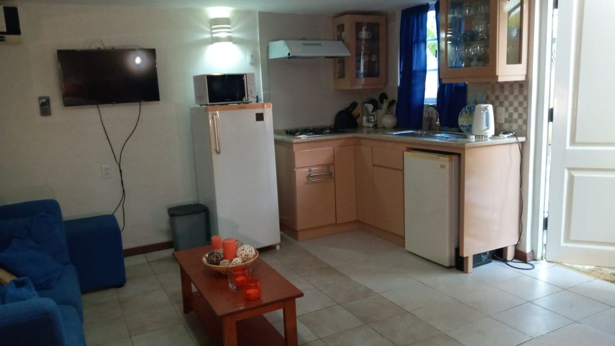 Apartment in Cas Grandi