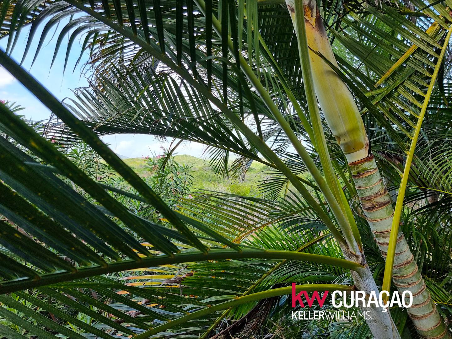 Property in Banda Abou Region