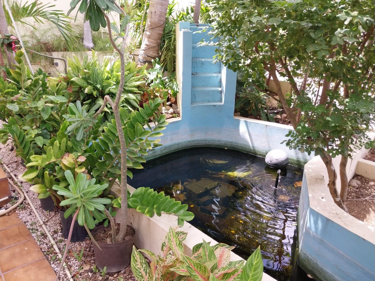 Apartment in Rooi Santu